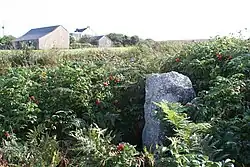 Fig. d30: the cross at Leswidden