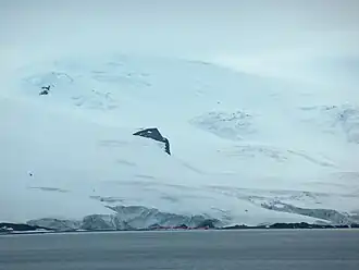 Arturo Prat Base from English Strait, with Rousseau Peak and Fuerza Aérea Glacier in the background