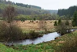 The Roer in the High Fens