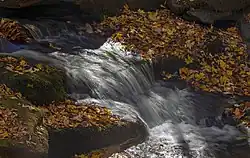 A small run of rushing water, seen in long exposure, reflecting the sunlight as it flows through a gap between mossy rocks covered with fallen leaves