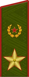 Shoulder strap of an Army General