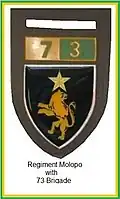 SADF era 73 Brigade regiment Molopo insignia tupper flash