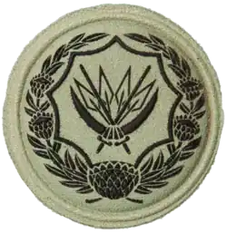 Badge for Reserve Voluntary Service