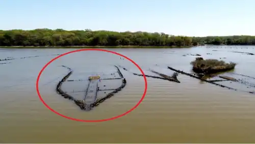 Various submerged shipwrecks and one shipwreck looking like a plant-covered island
