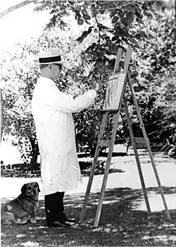 Portrait of Stephanus le Roux Marais