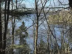 Through the branches, steep forest shore