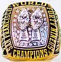 Super Bowl XIX (San Francisco 49ers)