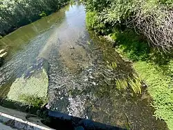 Tundzha River as seen from Saraçhane Bridge, built by Hadım Şehabeddin Pasha in Edirne, Turkey.