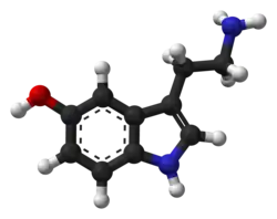 Ball-and-stick model of the serotonin molecule