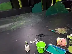 containers and trays of coloured paint, an black floor, paint brushes, a splash of water, and some scenic elements around the edge of the floor