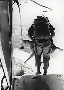 A US Marine conducts a parachute jump with his war dog over Da Nang, Vietnam, August 1968