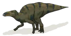 Shantungosaurus giganteus
