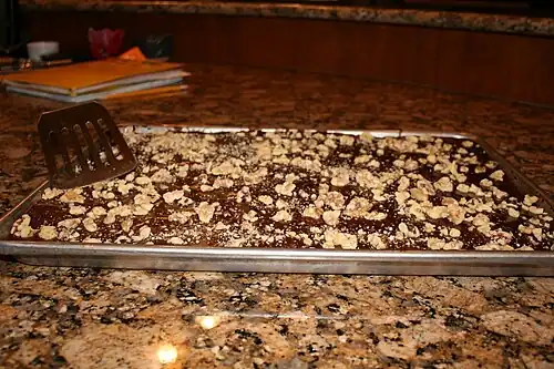 Chocolate sheet cake topped with nuts