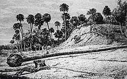 Image 9A shell midden at Enterprise, Florida in 1875. (from History of Florida)