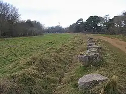 Brasenose Wood and Shotover Hill