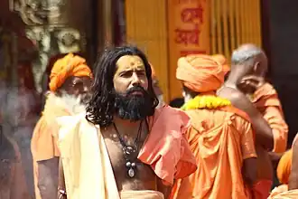 Simhasth 2016 Ujjain Saadhu