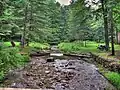 A rockky stream between two grassy banks with picnic tables, forest in the background