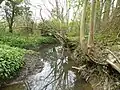 Slinfold Stream