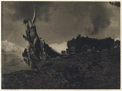 Anne Brigman, Soul of the Blasted Pine, 1908