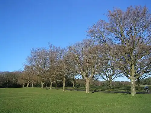 Image 3Trees on Southampton Common in winter (from Portal:Hampshire/Selected pictures)