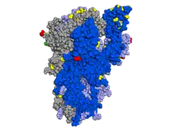 Spike protein with mutations highlighted, looking at the side of the protein