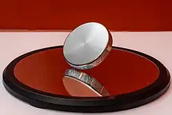 Euler's Disk spinning and rolling on its concave mirror