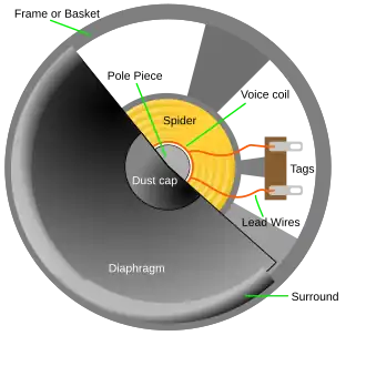 A dynamic loudspeaker