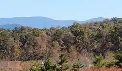 Forest in foreground with outline of mountains in the background