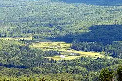View of the St. Regis River from the Azure Mountain fire tower