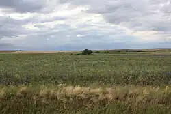 Steppe landscape in Sharlyksky District