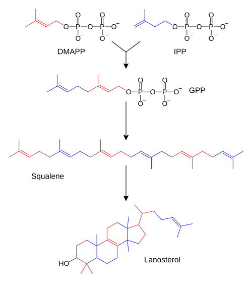 Chemical-diagram flow chart