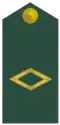 Sub-tenente (Brazilian Army)[4]