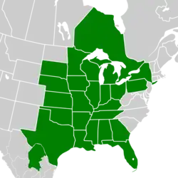 Symphyotrichum oolentangiense native distribution map: Canada — Ontario, Mexico — Coahuila, US — Alabama, Arkansas, Florida, Georgia, Illinois, Indiana, Iowa, Kansas, Kentucky, Louisiana, Michigan, Minnesota, Mississippi, Missouri, Nebraska, New York, Ohio, Oklahoma, Pennsylvania, South Dakota, Tennessee, Texas, and Wisconsin.