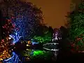 Syon Park Enchanted Woodland