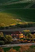 Vineyards