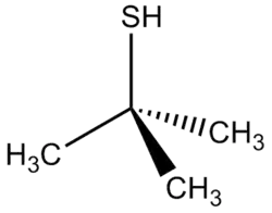 Skeletal formula of tert-butylthiol