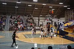 Women's basketball game