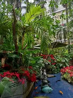 A view of the plants, flowers, water fountains, and al fresco dining at The Oasis