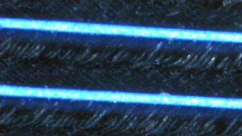 Close-up of a feather of a specimen from Peru