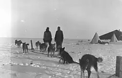 The dogs tethered out at "The Grottoes". All nine of the western base dogs are shown