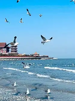 Penglai, where Eight Immortals Crossing the Sea said to take place