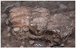 The three plastered skulls in situ at Yiftahel