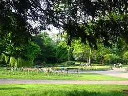 Thompson's Park (Sir David's Field)