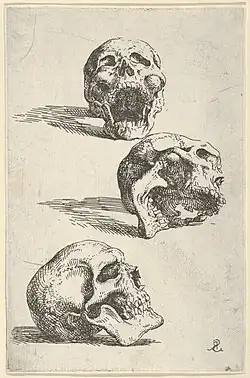 Three Human Skulls (1662), 14.2 × 9.2&nbsp;cm.
