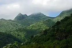 Los Picachos (left) and El Yunque (right) covered in fog.