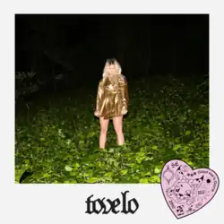 Tove Lo wearing a golden outfit while standing in a woody scenario. The image is covered by a white frame that features the singer's logo and a love heart shape containing various icons.