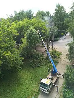 Felling in an urban setting in Russia. Telescopic handler and chainsaw are used.