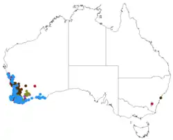 Map showing distribution of Tribonanthes in southwestern Australia