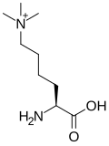 Trimethylated: (6-N,6-N,6-N)trimethyllysine
