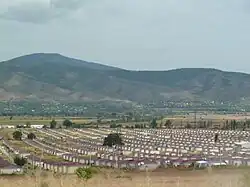 Large group of small, identical homes